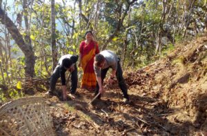 Organic farm volunteer programs Nepal